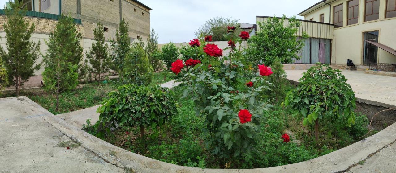 Hostel Hud Hud Buchara Exterior foto